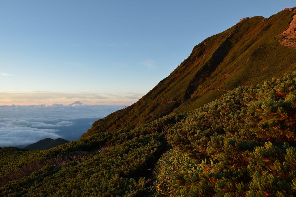 平日の富士山118