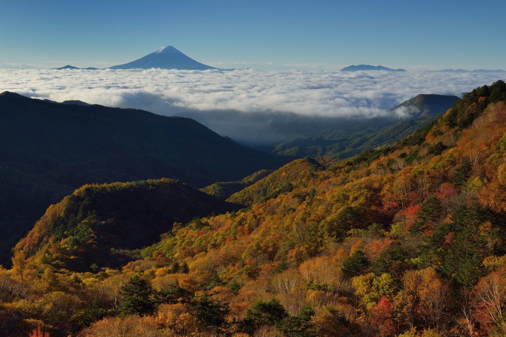 週末の富士山50