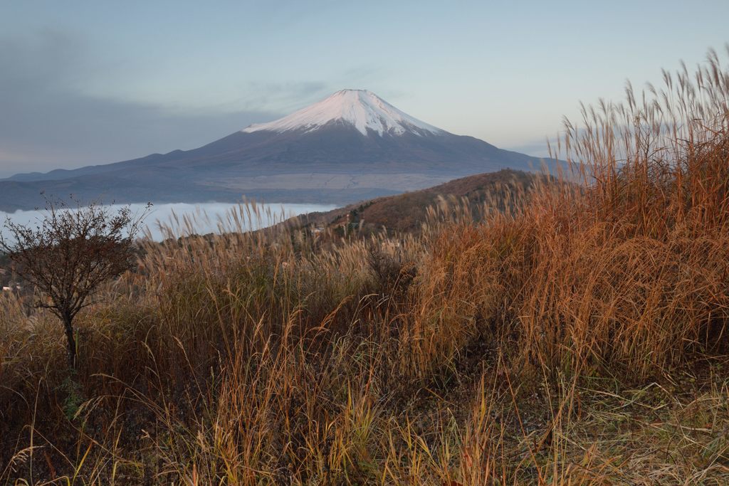週末の富士山（新作489）
