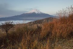 週末の富士山（新作489）