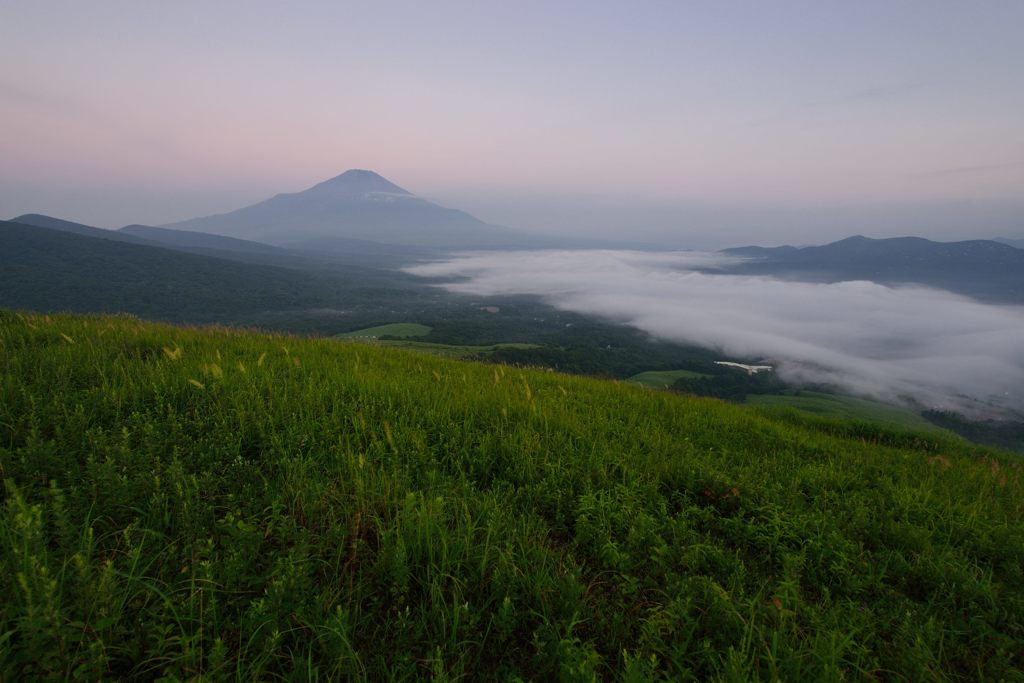 週末の富士山（新作466）