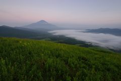 週末の富士山（新作466）