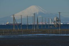 週末の富士山401