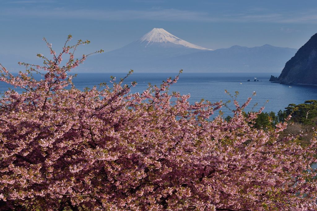 週末の富士山（新作427）