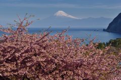 週末の富士山（新作427）