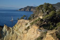 週末の富士山（新作724）