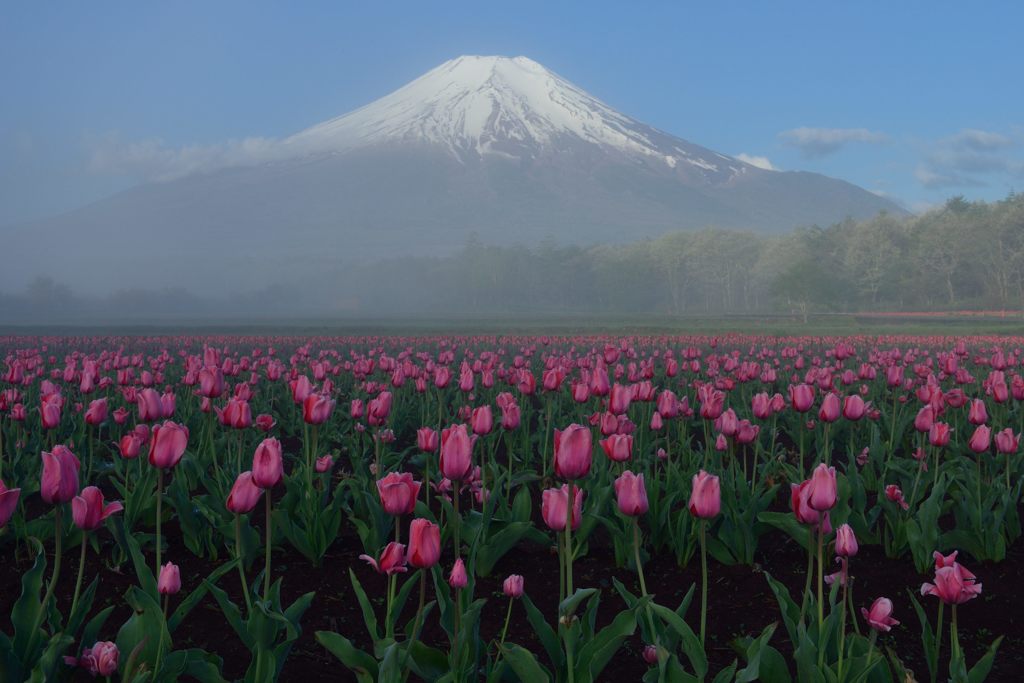 平日の富士山286