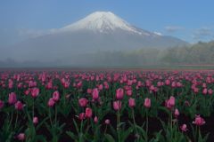 平日の富士山286