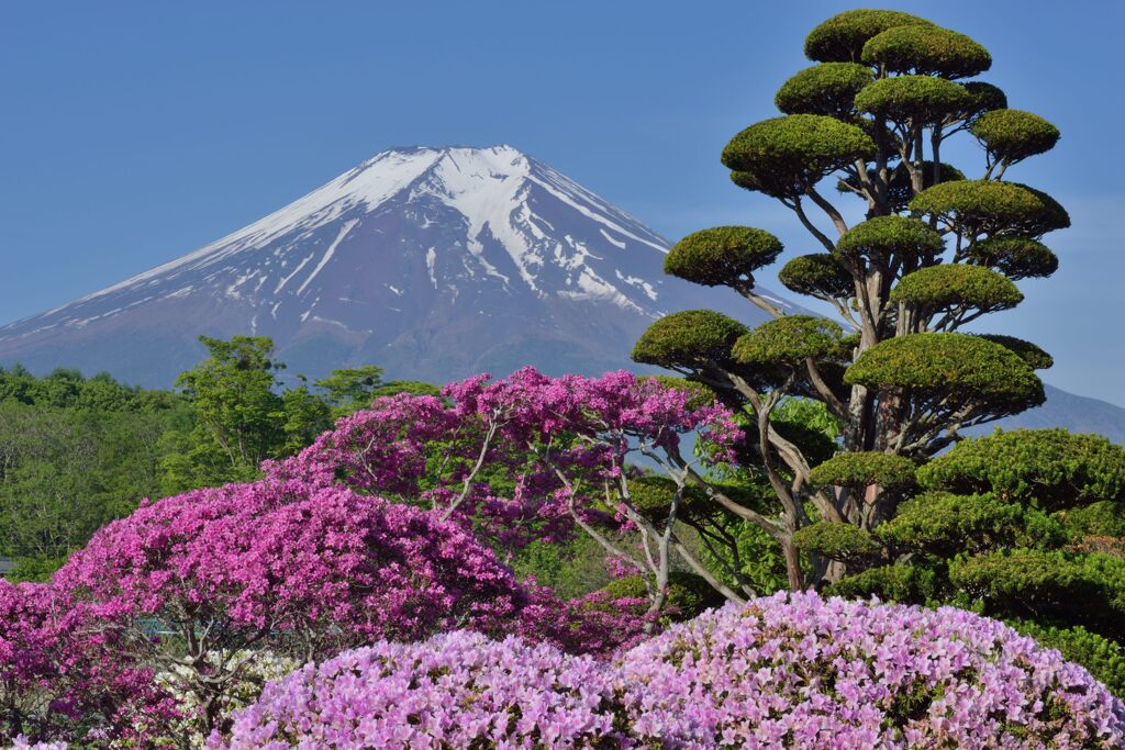 週末の富士山85