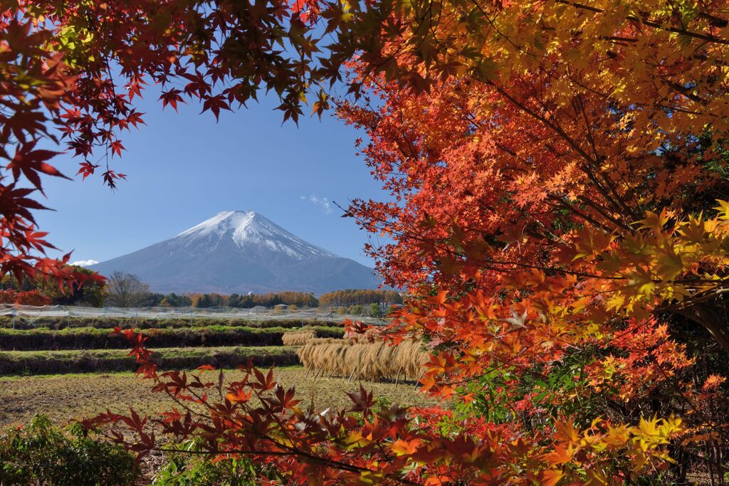 平日の富士山855