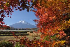 平日の富士山855