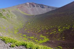 週末の富士山（新作15）