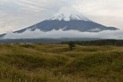 週末の富士山181