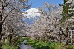 平日の富士山282