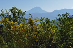 平日の富士山977