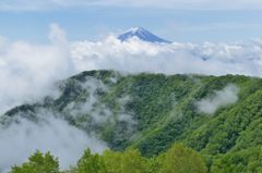 平日の富士山29