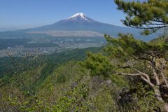 週末の富士山55