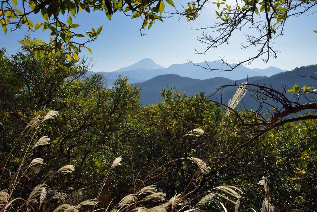 平日の富士山975
