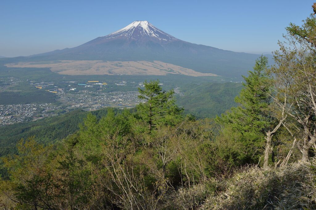 週末の富士山47