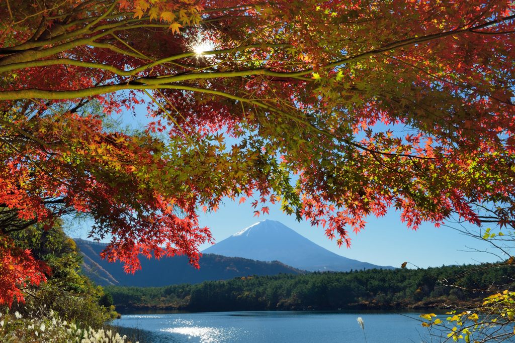 週末の富士山（新作63）