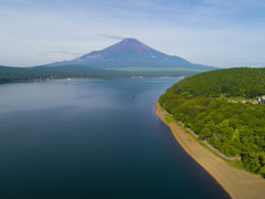 平日の富士山365
