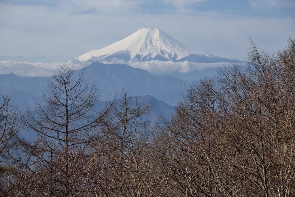 週末の富士山（新作1352）