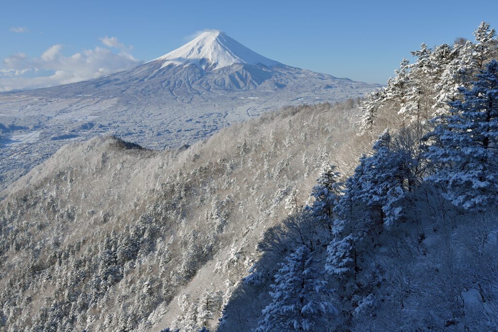 週末の富士山（新作1372）
