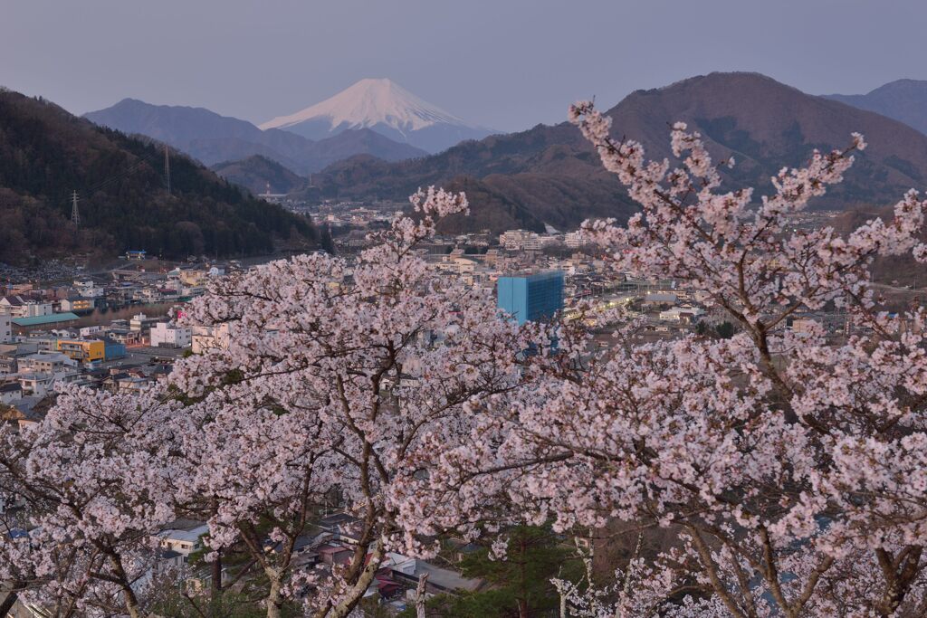 平日の富士山1082