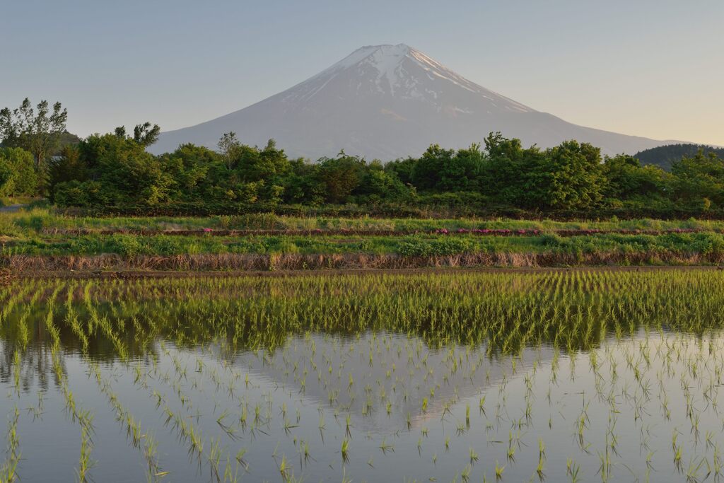 週末の富士山71