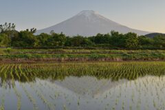 週末の富士山71