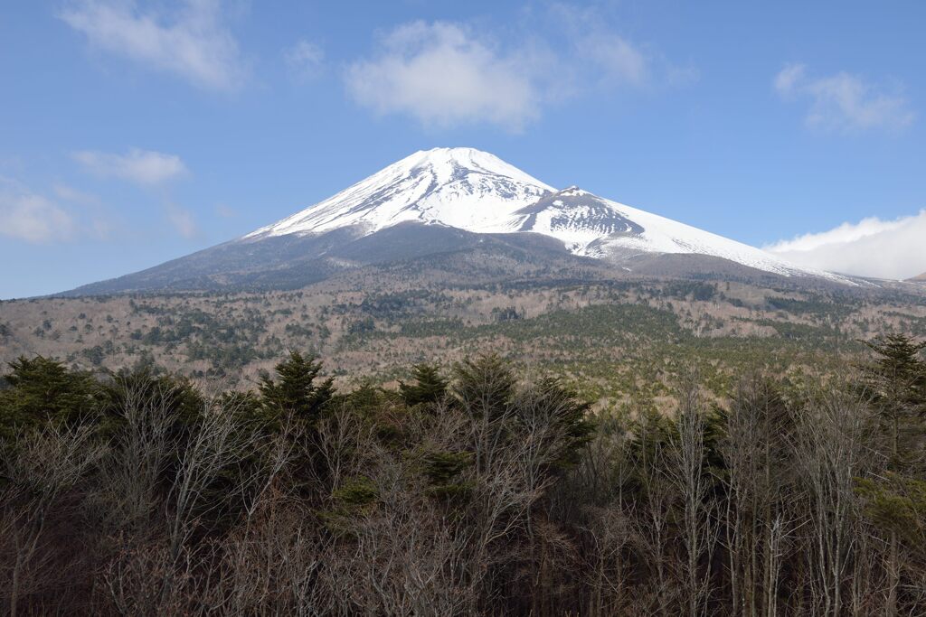 平日の富士山1041