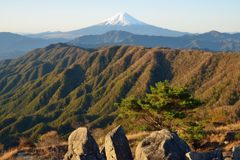 週末の富士山（新作1050）