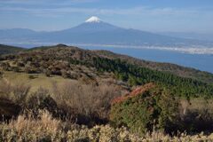 週末の富士山303