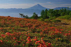 週末の富士山（新作５）