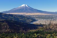 週末の富士山（新作391）