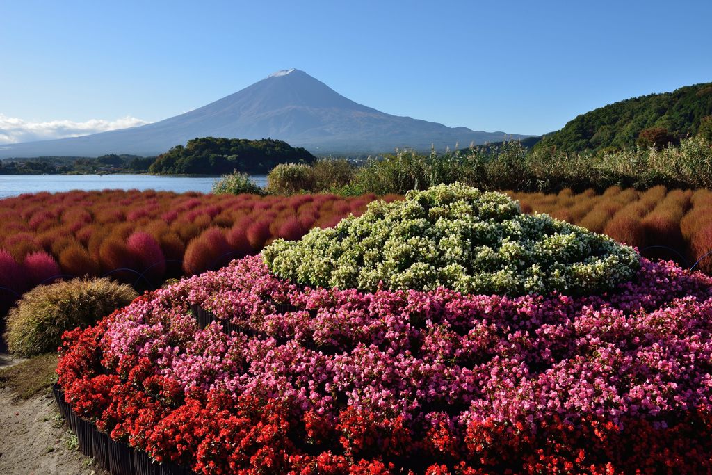 平日の富士山130