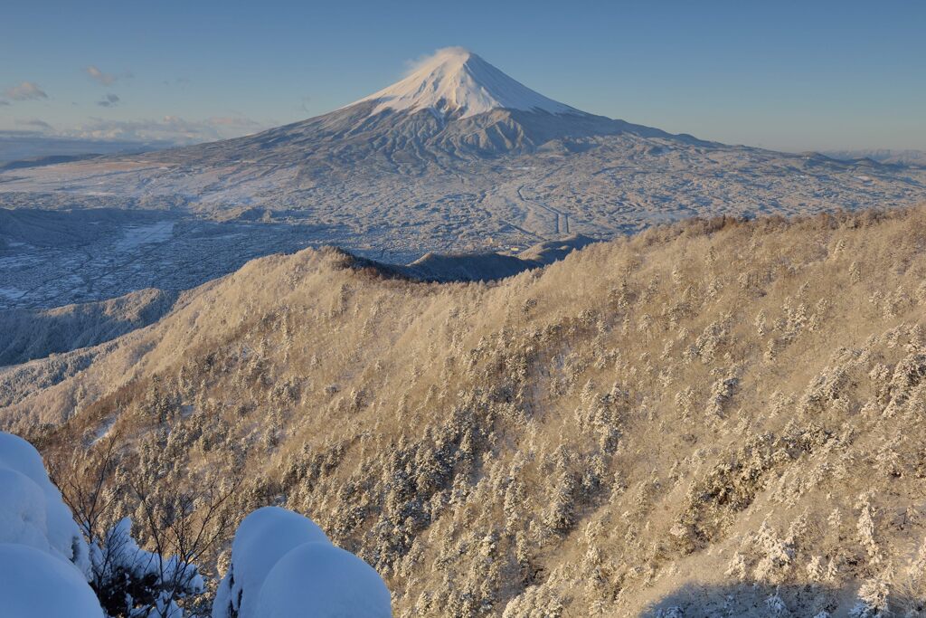 週末の富士山（新作1365）