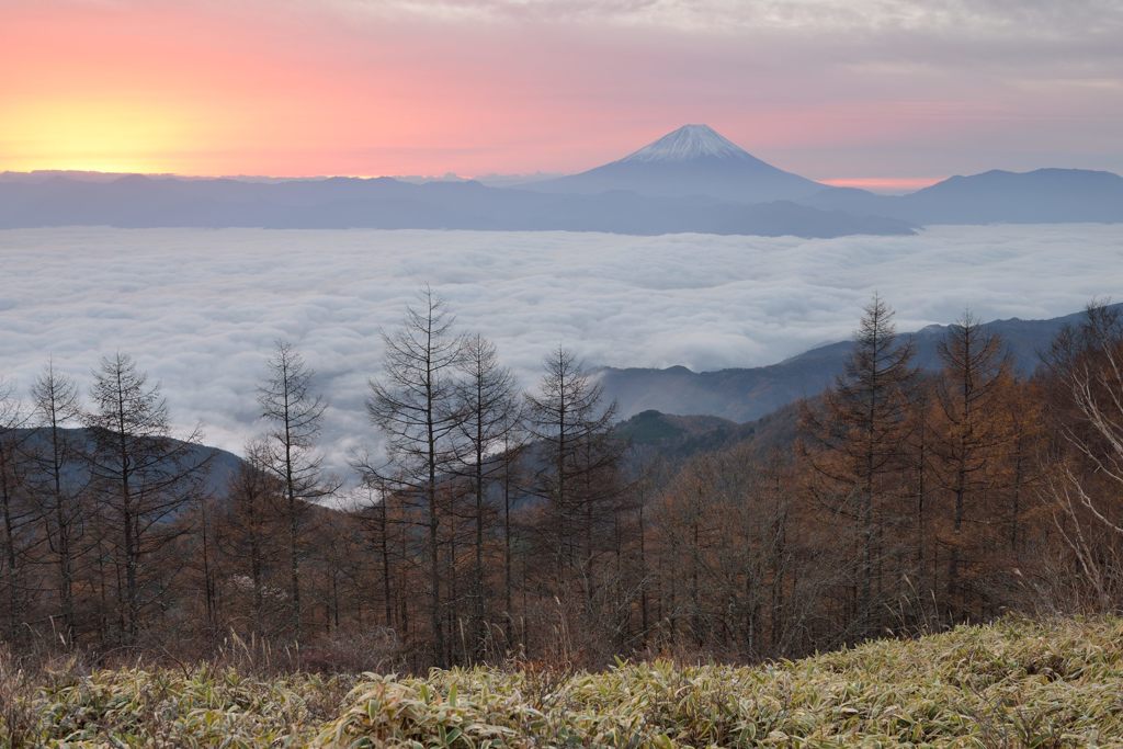 平日の富士山430