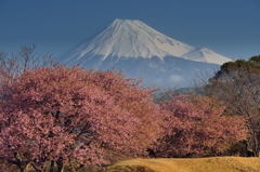 週末の富士山34