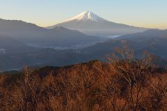 週末の富士山（新作498）