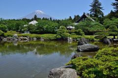 週末の富士山（新作869）