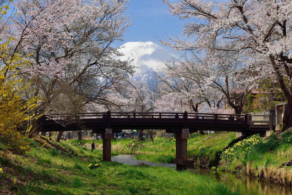 平日の富士山284