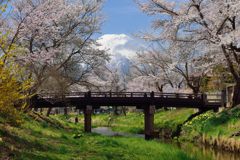 平日の富士山284