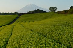 週末の富士山（新作857）