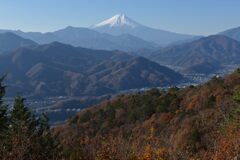 平日の富士山960