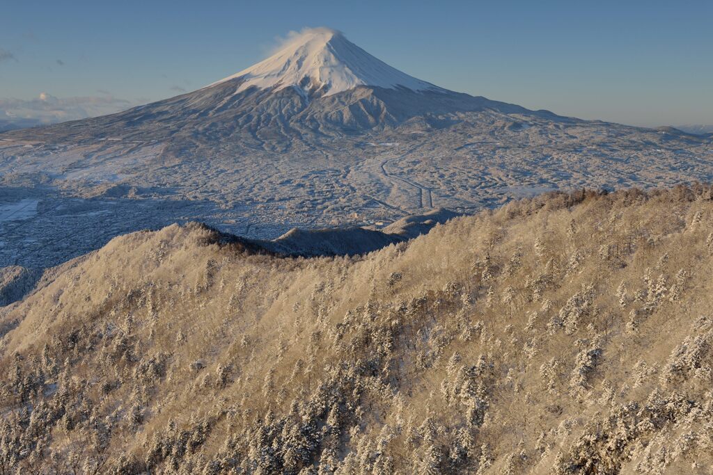 週末の富士山（新作1364）