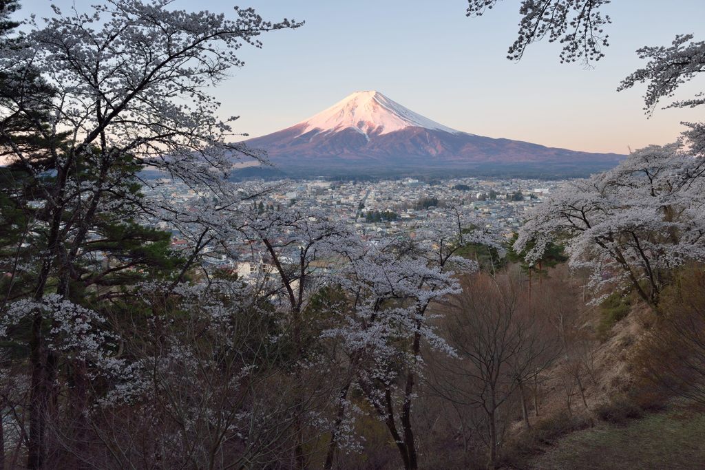 週末の富士山（新作1157）