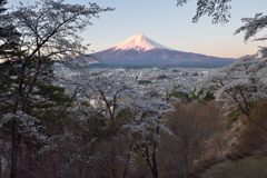 週末の富士山（新作1157）