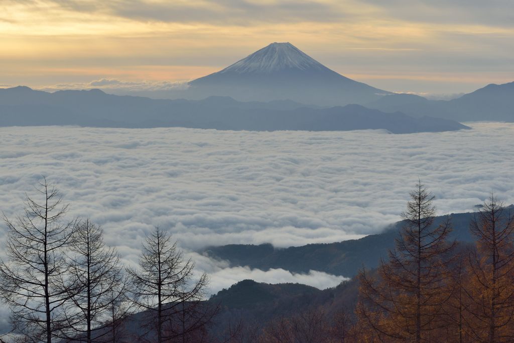 平日の富士山434