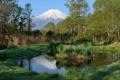 週末の富士山（新作828）